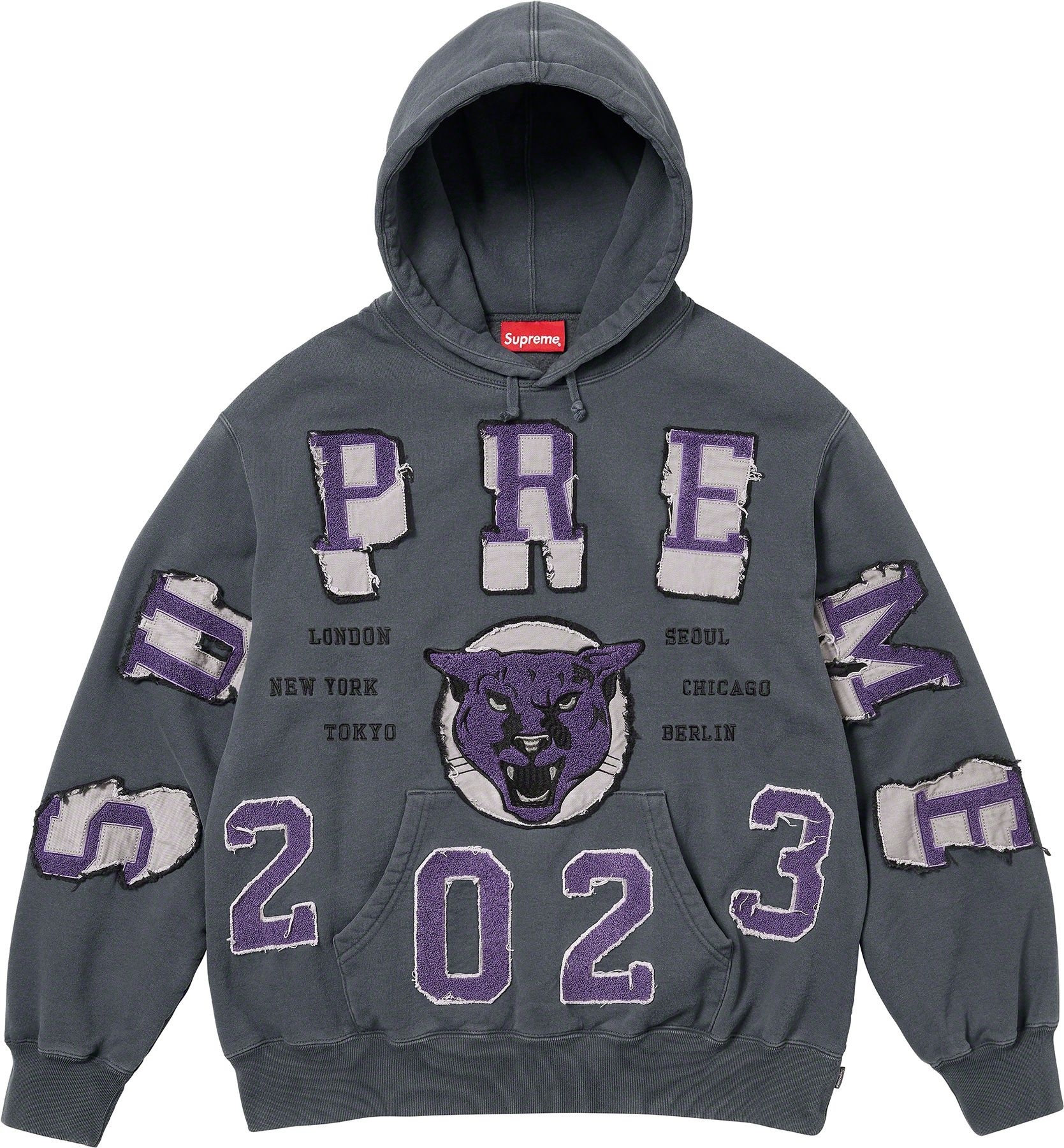 Washed Panther Hooded Sweatshirt view 5